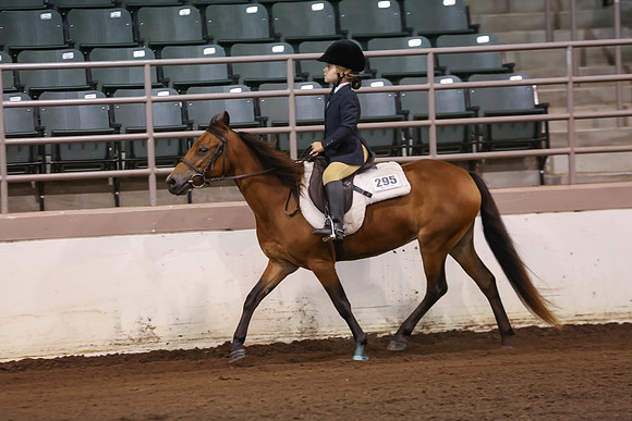 www.ngaphoto.com 2015 Georgia Federation of Saddle Clubs Championship Horse Show
