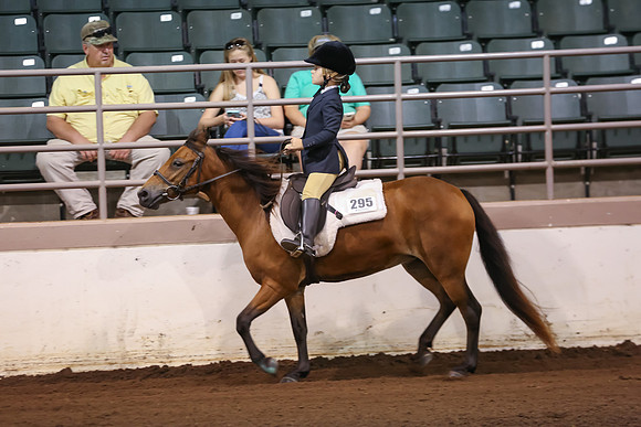 www.ngaphoto.com 2015 Georgia Federation of Saddle Clubs Championship Horse Show