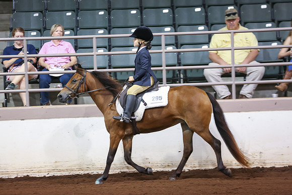 www.ngaphoto.com 2015 Georgia Federation of Saddle Clubs Championship Horse Show