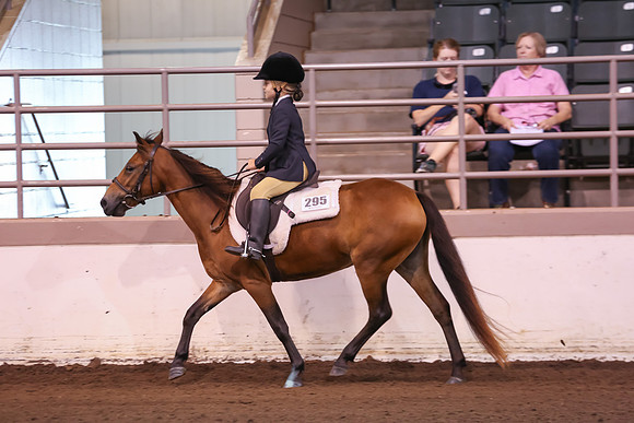 www.ngaphoto.com 2015 Georgia Federation of Saddle Clubs Championship Horse Show