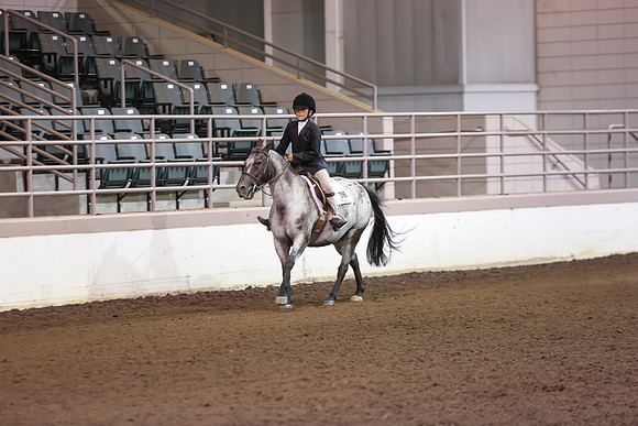 www.ngaphoto.com 2015 Georgia Federation of Saddle Clubs Championship Horse Show