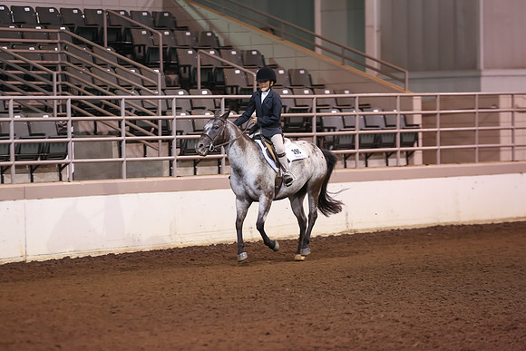 www.ngaphoto.com 2015 Georgia Federation of Saddle Clubs Championship Horse Show