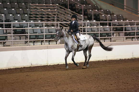 www.ngaphoto.com 2015 Georgia Federation of Saddle Clubs Championship Horse Show