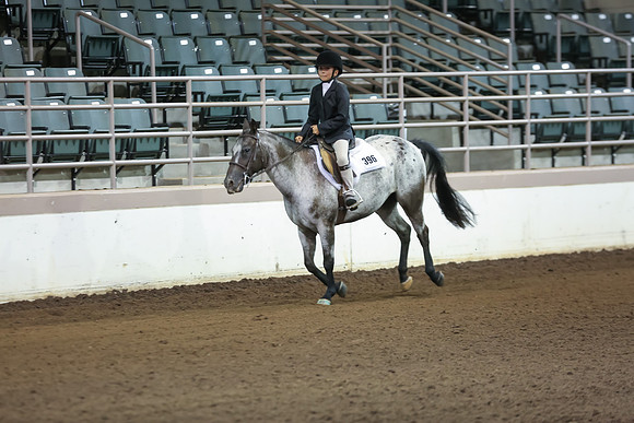 www.ngaphoto.com 2015 Georgia Federation of Saddle Clubs Championship Horse Show