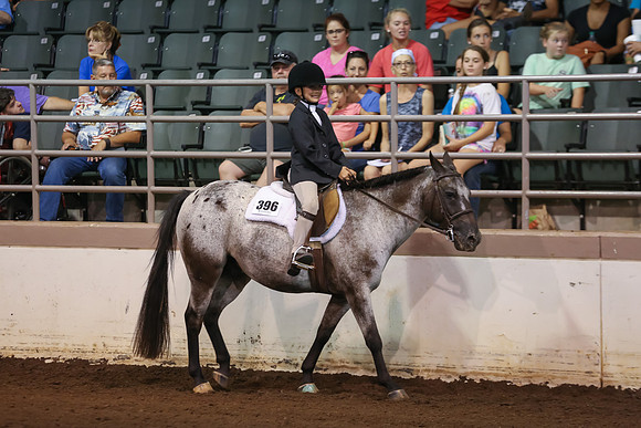 www.ngaphoto.com 2015 Georgia Federation of Saddle Clubs Championship Horse Show