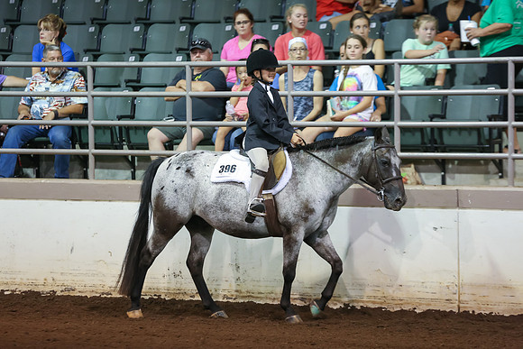 www.ngaphoto.com 2015 Georgia Federation of Saddle Clubs Championship Horse Show