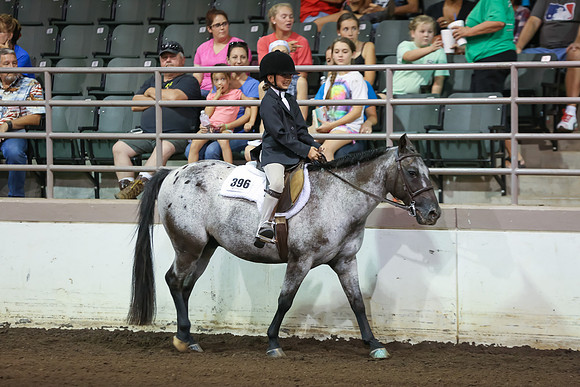 www.ngaphoto.com 2015 Georgia Federation of Saddle Clubs Championship Horse Show