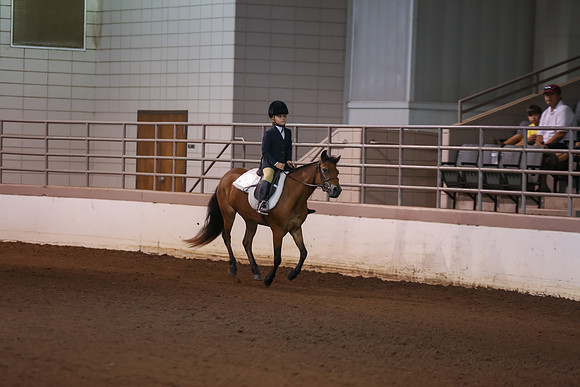 www.ngaphoto.com 2015 Georgia Federation of Saddle Clubs Championship Horse Show