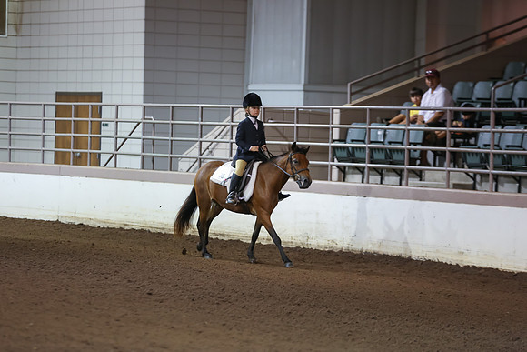 www.ngaphoto.com 2015 Georgia Federation of Saddle Clubs Championship Horse Show