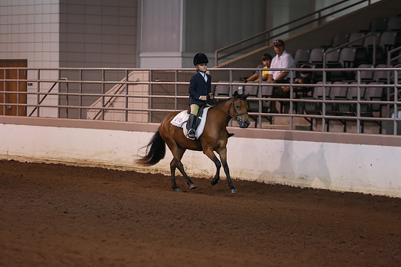 www.ngaphoto.com 2015 Georgia Federation of Saddle Clubs Championship Horse Show