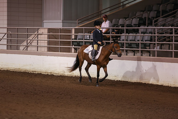 www.ngaphoto.com 2015 Georgia Federation of Saddle Clubs Championship Horse Show