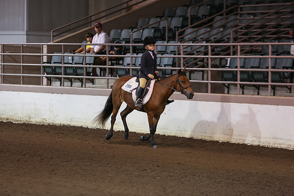 www.ngaphoto.com 2015 Georgia Federation of Saddle Clubs Championship Horse Show