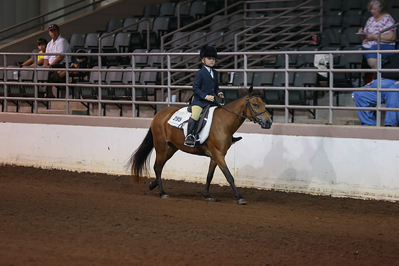 www.ngaphoto.com 2015 Georgia Federation of Saddle Clubs Championship Horse Show