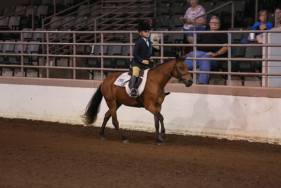 www.ngaphoto.com 2015 Georgia Federation of Saddle Clubs Championship Horse Show