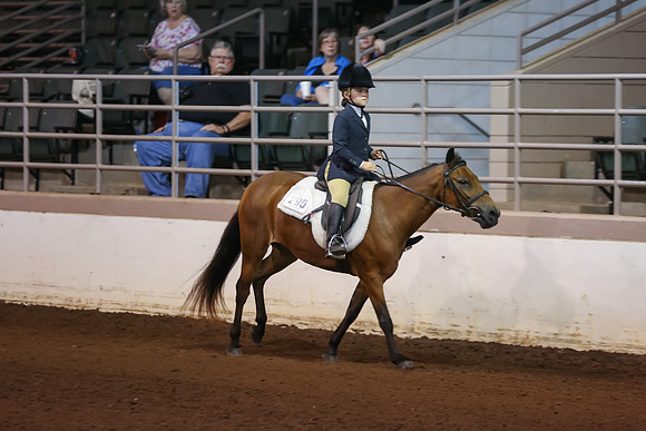 www.ngaphoto.com 2015 Georgia Federation of Saddle Clubs Championship Horse Show