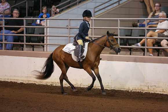 www.ngaphoto.com 2015 Georgia Federation of Saddle Clubs Championship Horse Show