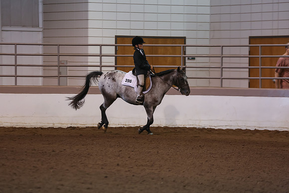 www.ngaphoto.com 2015 Georgia Federation of Saddle Clubs Championship Horse Show