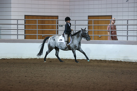 www.ngaphoto.com 2015 Georgia Federation of Saddle Clubs Championship Horse Show