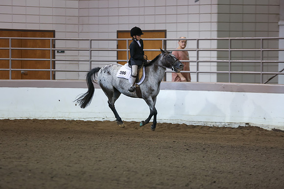 www.ngaphoto.com 2015 Georgia Federation of Saddle Clubs Championship Horse Show