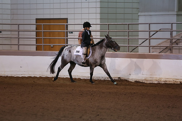www.ngaphoto.com 2015 Georgia Federation of Saddle Clubs Championship Horse Show