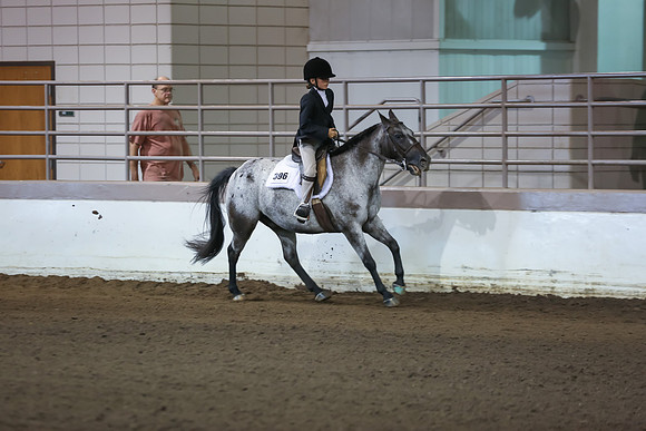 www.ngaphoto.com 2015 Georgia Federation of Saddle Clubs Championship Horse Show