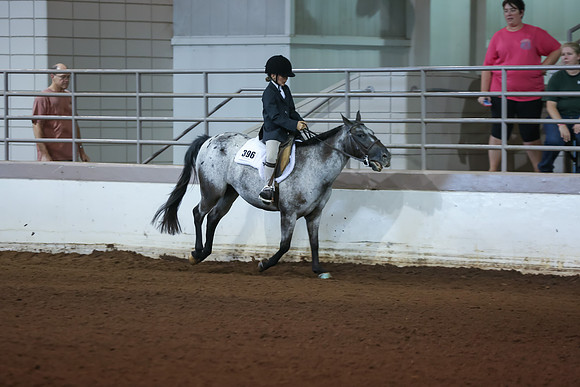 www.ngaphoto.com 2015 Georgia Federation of Saddle Clubs Championship Horse Show