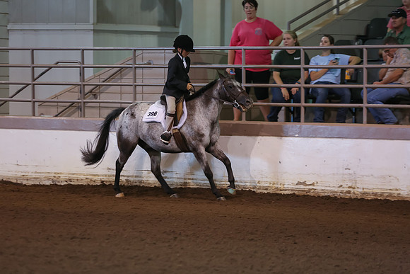 www.ngaphoto.com 2015 Georgia Federation of Saddle Clubs Championship Horse Show