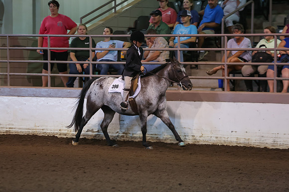 www.ngaphoto.com 2015 Georgia Federation of Saddle Clubs Championship Horse Show