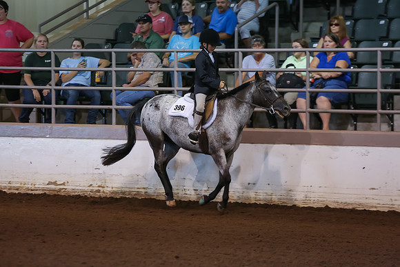 www.ngaphoto.com 2015 Georgia Federation of Saddle Clubs Championship Horse Show
