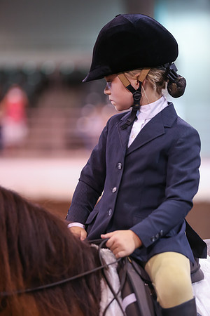 www.ngaphoto.com 2015 Georgia Federation of Saddle Clubs Championship Horse Show