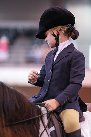 www.ngaphoto.com 2015 Georgia Federation of Saddle Clubs Championship Horse Show