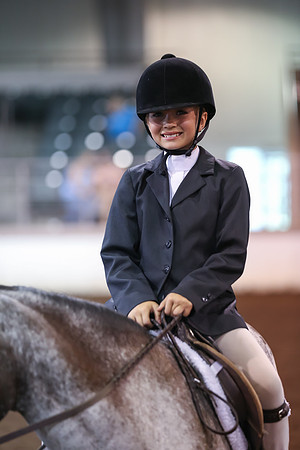 www.ngaphoto.com 2015 Georgia Federation of Saddle Clubs Championship Horse Show