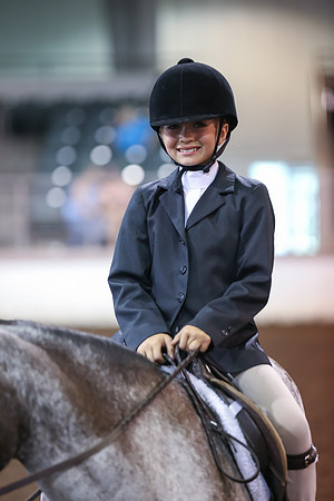 www.ngaphoto.com 2015 Georgia Federation of Saddle Clubs Championship Horse Show