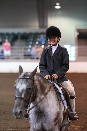www.ngaphoto.com 2015 Georgia Federation of Saddle Clubs Championship Horse Show