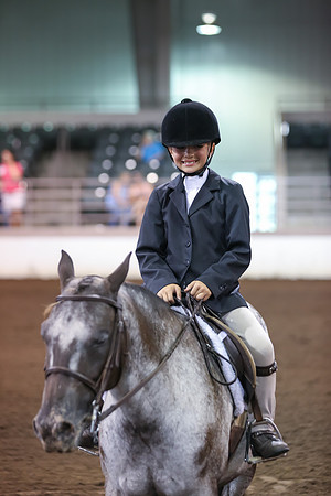 www.ngaphoto.com 2015 Georgia Federation of Saddle Clubs Championship Horse Show