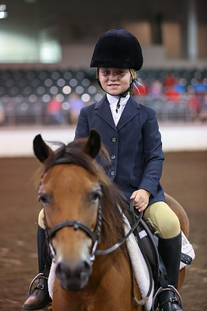 www.ngaphoto.com 2015 Georgia Federation of Saddle Clubs Championship Horse Show