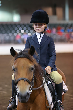 www.ngaphoto.com 2015 Georgia Federation of Saddle Clubs Championship Horse Show