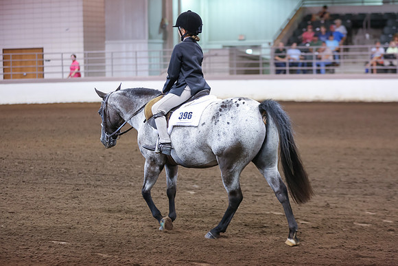 www.ngaphoto.com 2015 Georgia Federation of Saddle Clubs Championship Horse Show