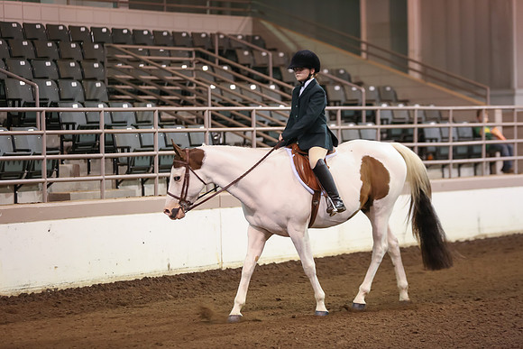 www.ngaphoto.com 2015 Georgia Federation of Saddle Clubs Championship Horse Show