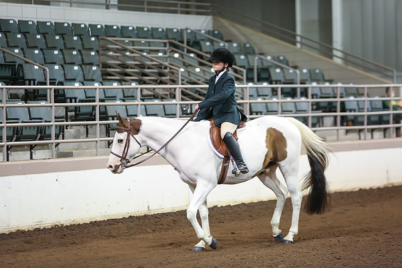 www.ngaphoto.com 2015 Georgia Federation of Saddle Clubs Championship Horse Show
