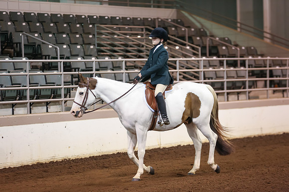 www.ngaphoto.com 2015 Georgia Federation of Saddle Clubs Championship Horse Show