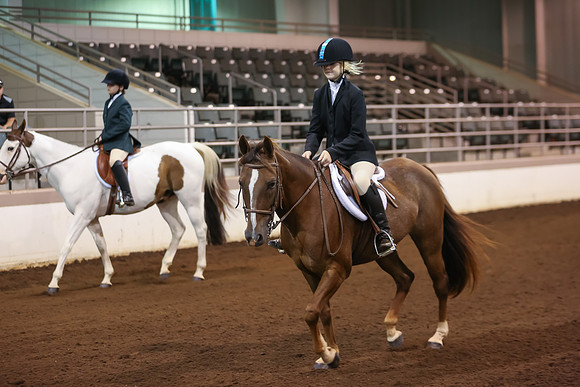 www.ngaphoto.com 2015 Georgia Federation of Saddle Clubs Championship Horse Show