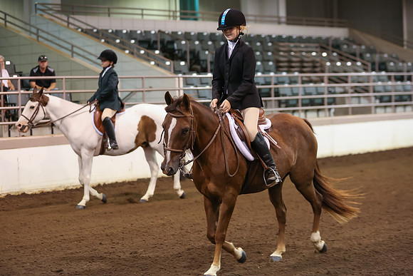 www.ngaphoto.com 2015 Georgia Federation of Saddle Clubs Championship Horse Show