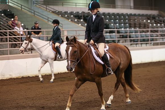 www.ngaphoto.com 2015 Georgia Federation of Saddle Clubs Championship Horse Show