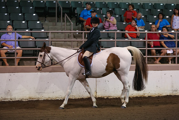 www.ngaphoto.com 2015 Georgia Federation of Saddle Clubs Championship Horse Show