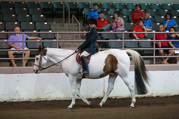 www.ngaphoto.com 2015 Georgia Federation of Saddle Clubs Championship Horse Show
