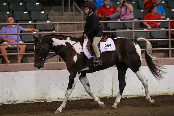 www.ngaphoto.com 2015 Georgia Federation of Saddle Clubs Championship Horse Show