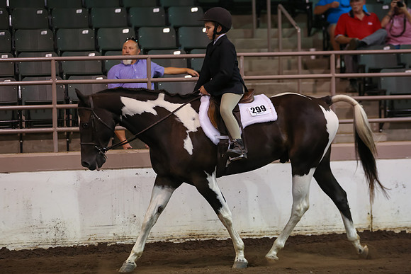 www.ngaphoto.com 2015 Georgia Federation of Saddle Clubs Championship Horse Show