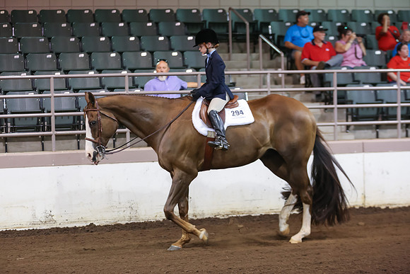 www.ngaphoto.com 2015 Georgia Federation of Saddle Clubs Championship Horse Show