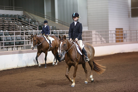 www.ngaphoto.com 2015 Georgia Federation of Saddle Clubs Championship Horse Show